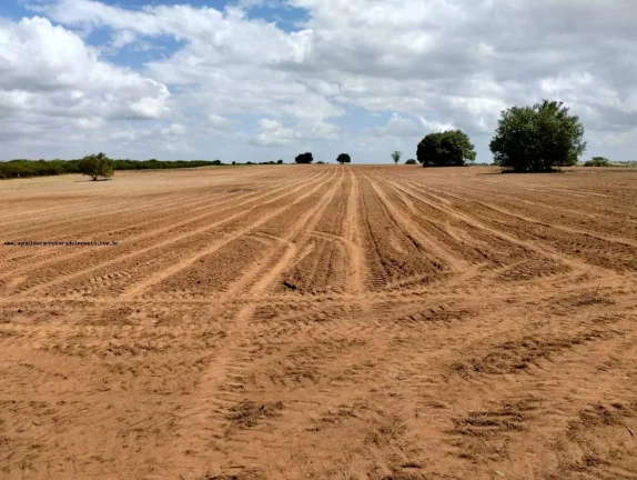Imagem Fazenda para Venda em Santa Maria, SANTA MARIA