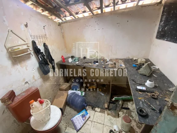 Imagem Chácara em São Lourenço com +6 Hectares e 3 Casas - Oportunidade Única