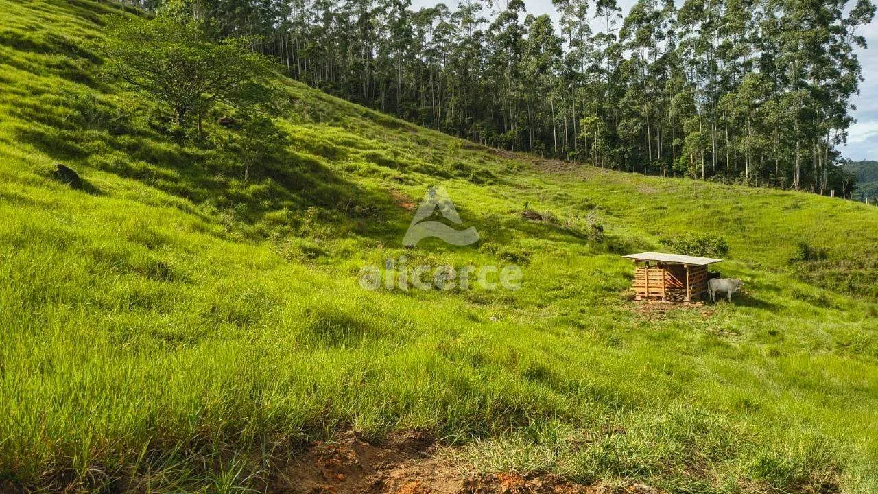 Imagem Sítio à venda com , 36.060m² em Área Rural de Biguaçu Biguaçu