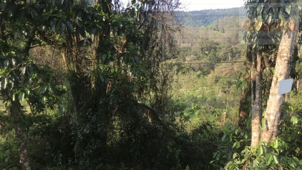 Imagem Terreno para Venda em Campo Bom / RS