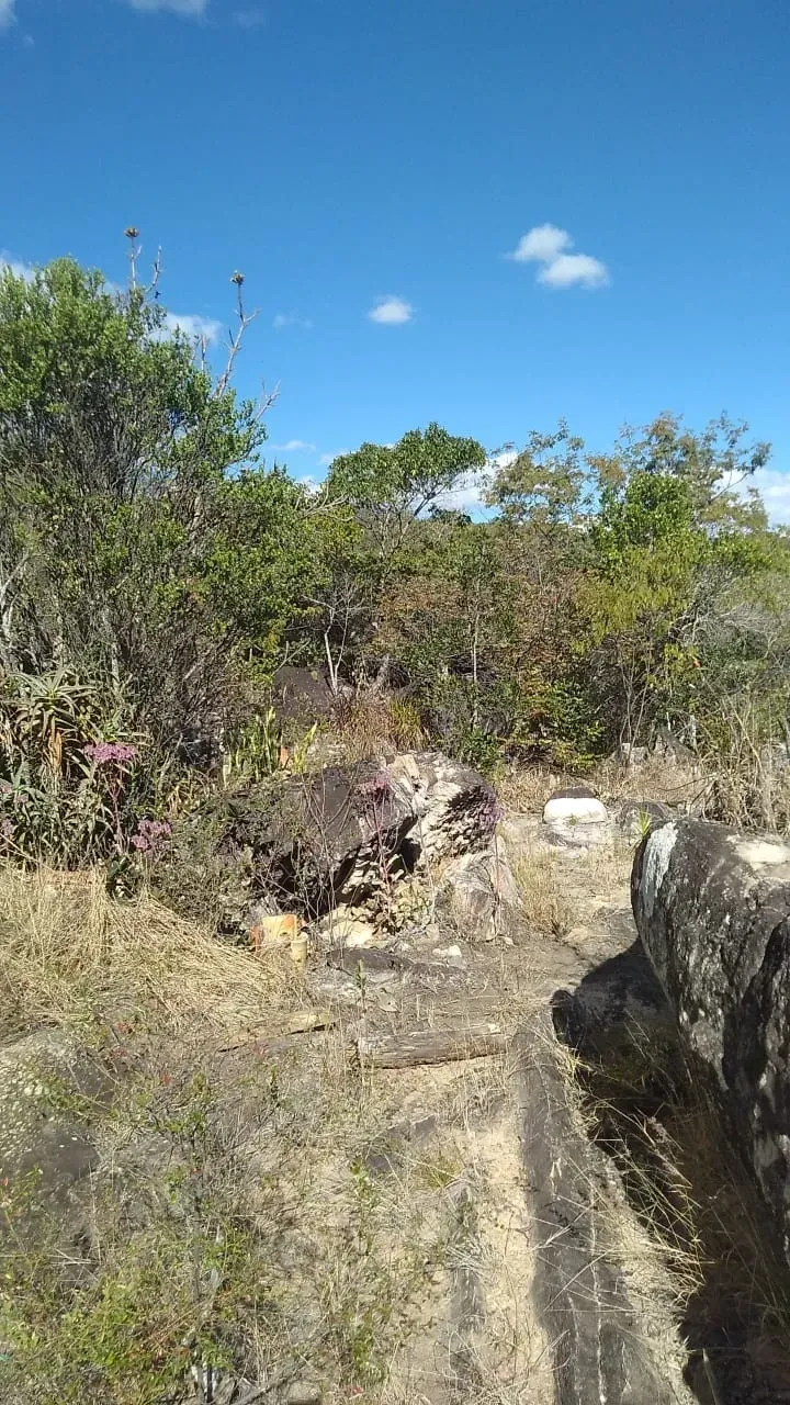 Imagem Terreno à Venda, 9.500 m² em Rio de Contas - Rio de Contas