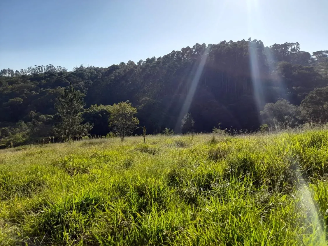 Imagem TERRENO - BAIRRO DA RESSACA - IBIUNA