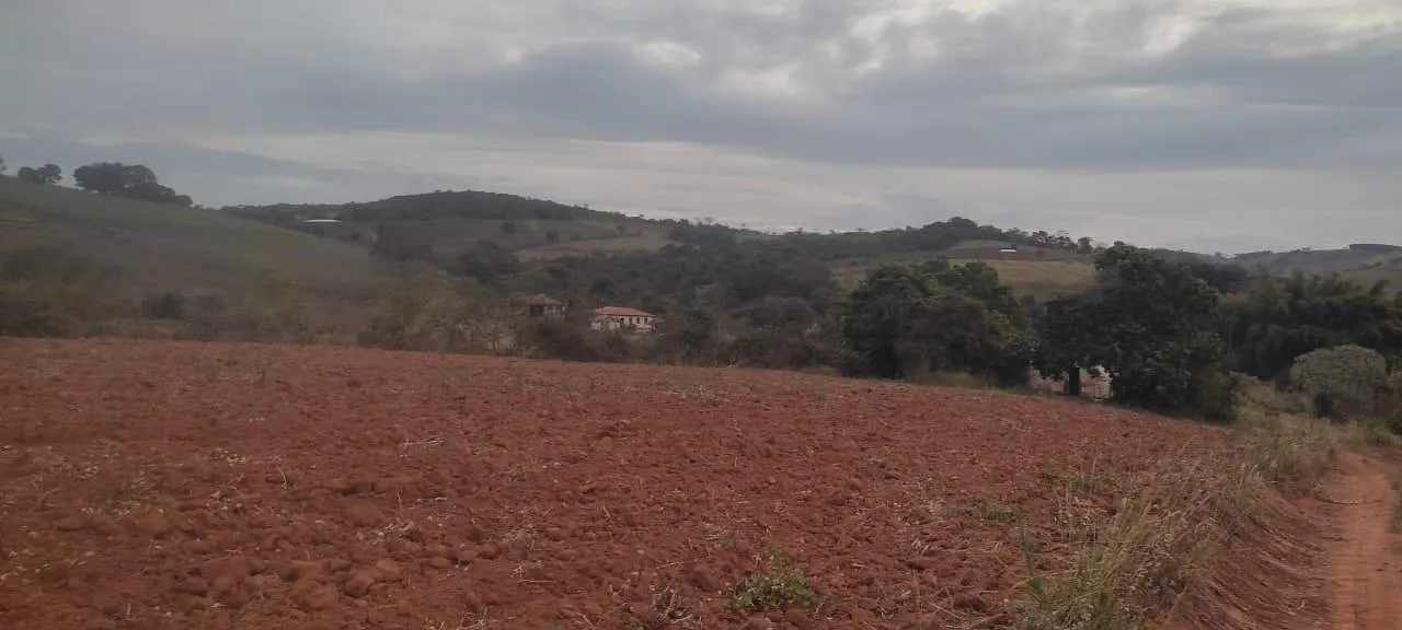 Imagem FAZENDA À VENDA - CRUCILÂNDIA (MG) 120 hectares de área total