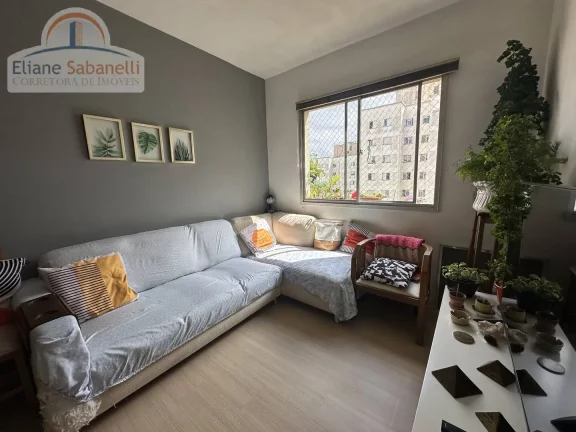 Foto do imóvel Apartamento à Venda 3 Dormitórios, 2 vagas, 70 m. Piscina na Vila Andrade