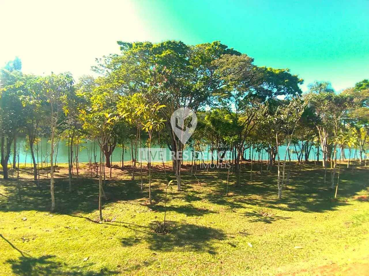 Imagem Lindo lote à venda no Sete Lagos