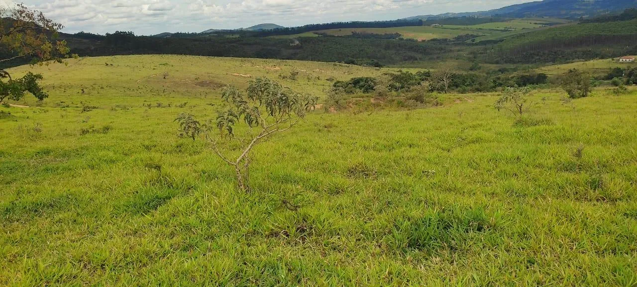 Imagem endo uma excelente fazenda em Desterro de Entre Rios com 277 hectares de terra