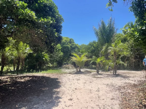 Imagem Terreno Praia Arandis