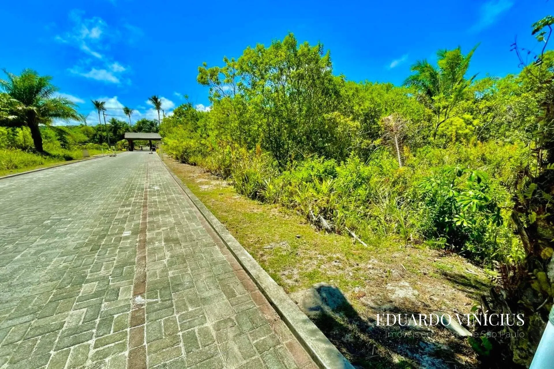 Imagem Dolce Vita Praia - Lote com 1.000m² em Condomínio de LUXO À Venda na Quarta Praia do Morro de São Paulo