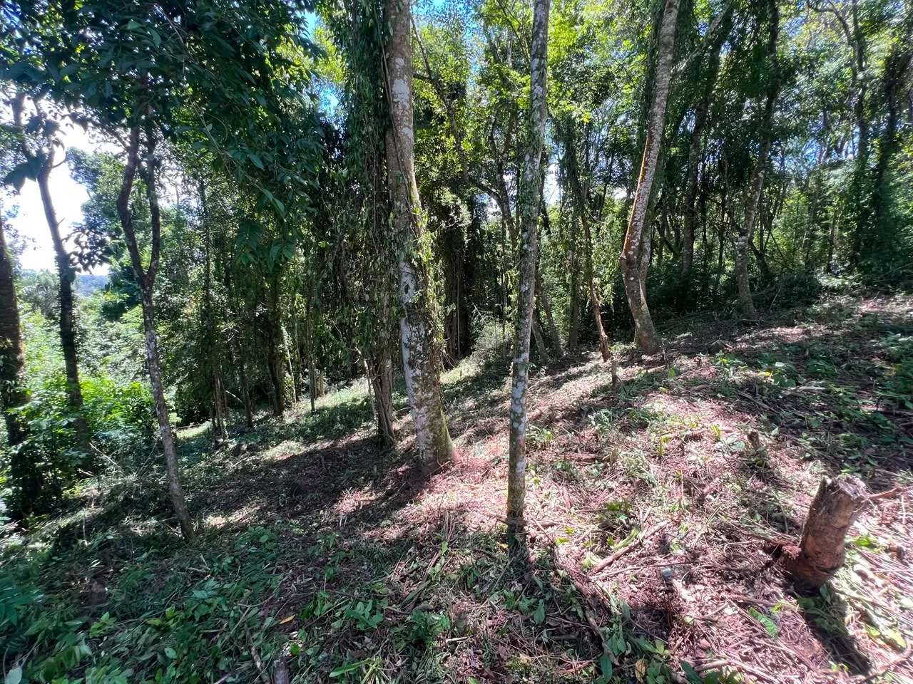 Imagem Terreno à 600mts da Repressa de Itupararanga no Loteamento Saveiros de Ibiúna