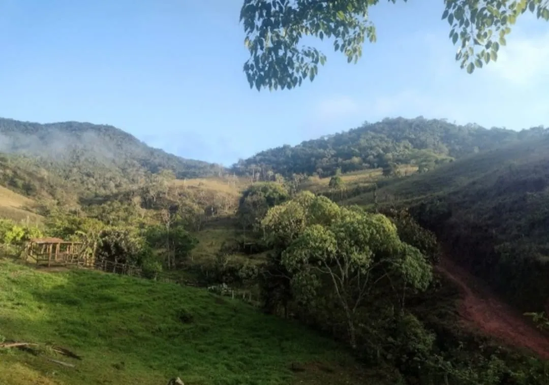 Imagem Chácara à venda 3 Quartos, 1 Suite, 139000M², Centro, Monteiro Lobato - SP