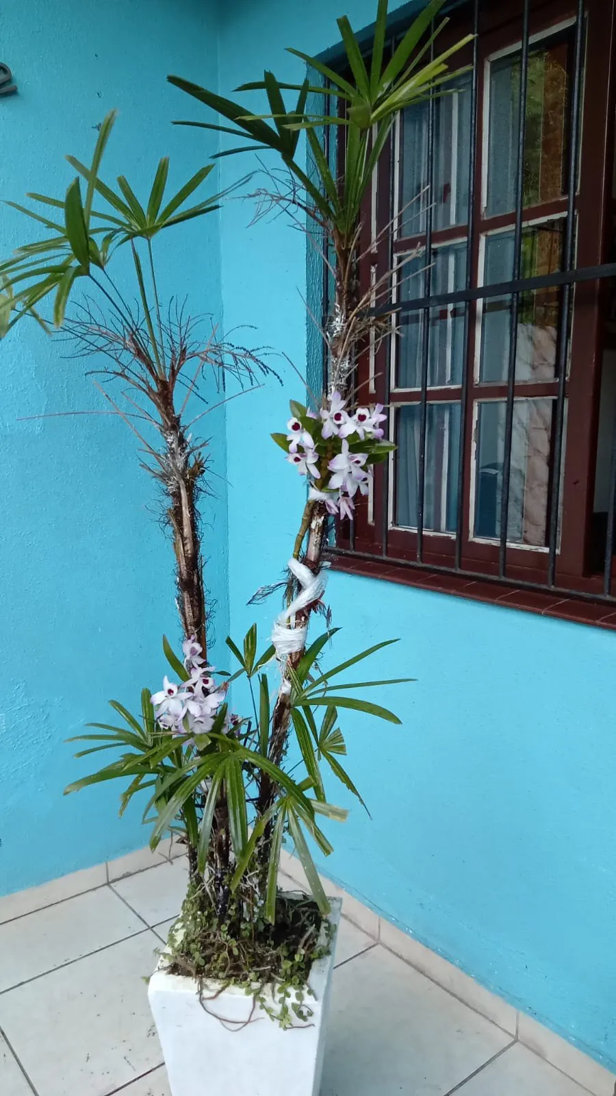 Imagem Casa em Condomínio à Venda em Viamão