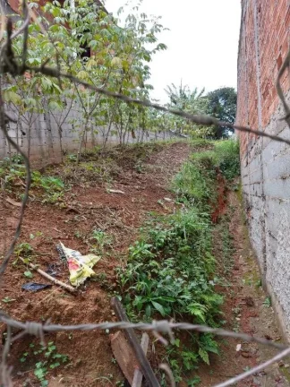 Imagem Terreno - Cotia - SP - Jardim Sandra