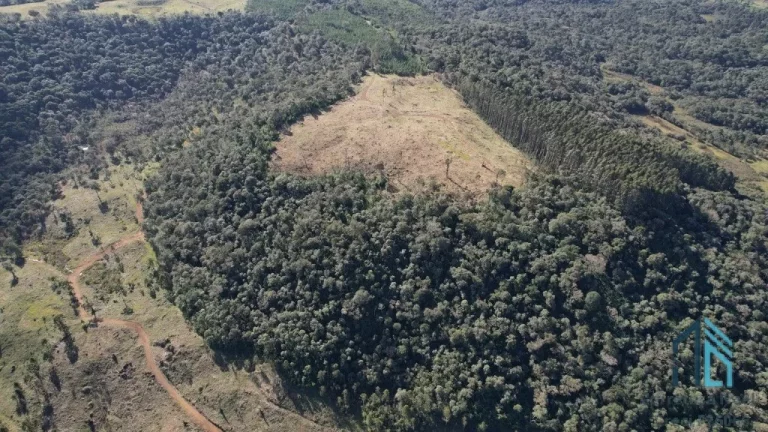 Imagem Terreno localização privilegiada, próxima à cidade e com potencial General Carneiro PR