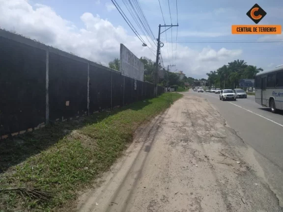 Imagem TERRENO EM ABRANTES