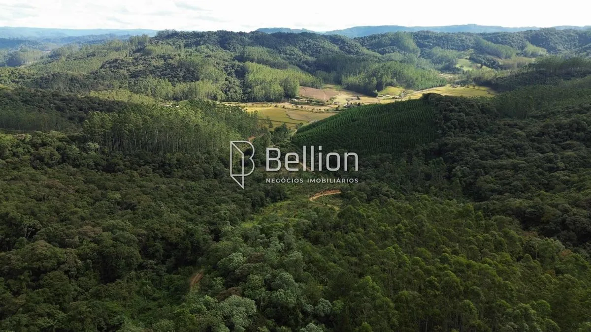 Imagem Área com mais de 20 mil m², terreno predominantemente plano, oferecendo diferentes possibilidades de uso em meio à natureza.