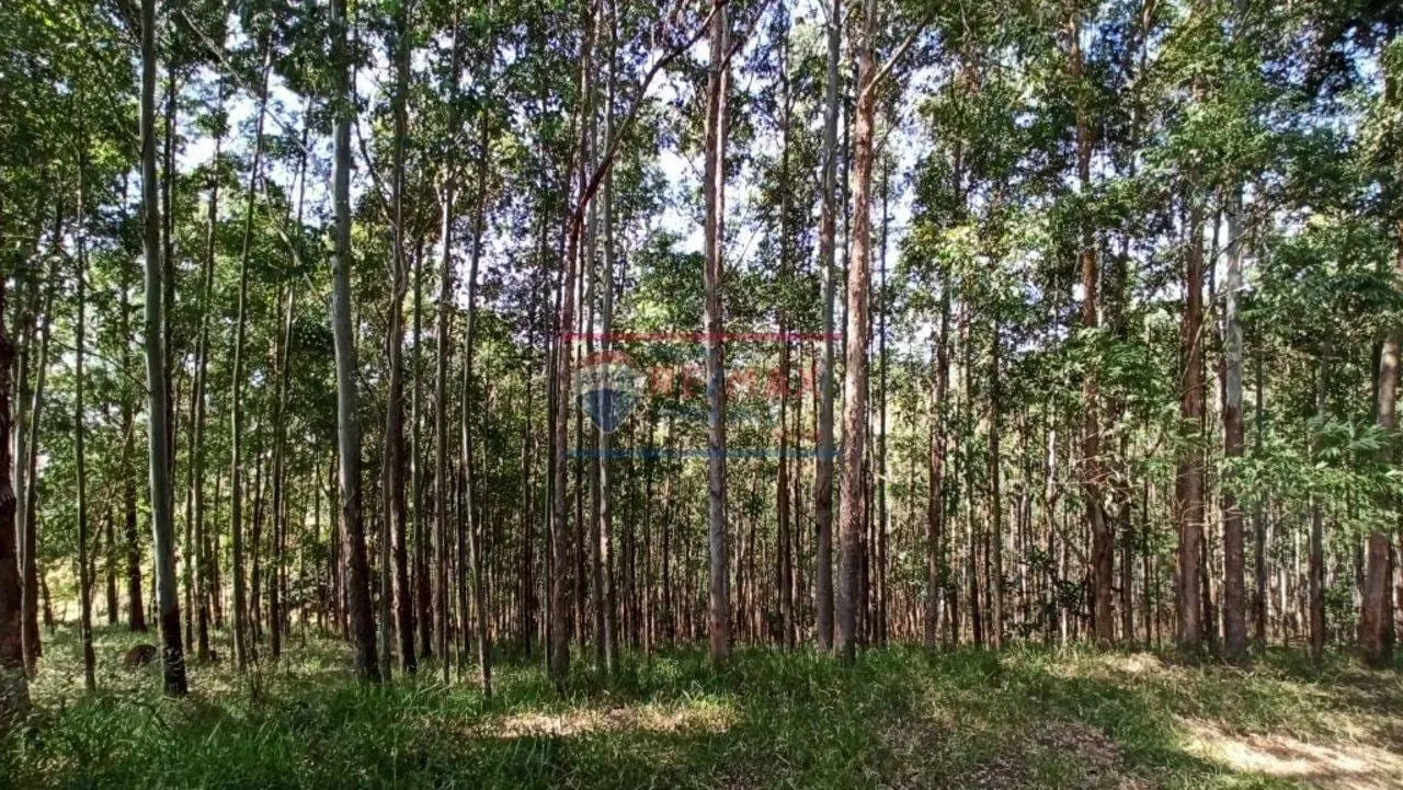 Imagem Chácara à venda 3 Quartos, 3 Suites, 4 Vagas, 290400M², Zona Rural, Paraisópolis - MG