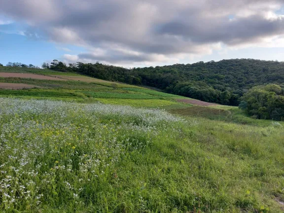 Imagem Terreno à Venda, 1.000 m² em Centro - Cotia