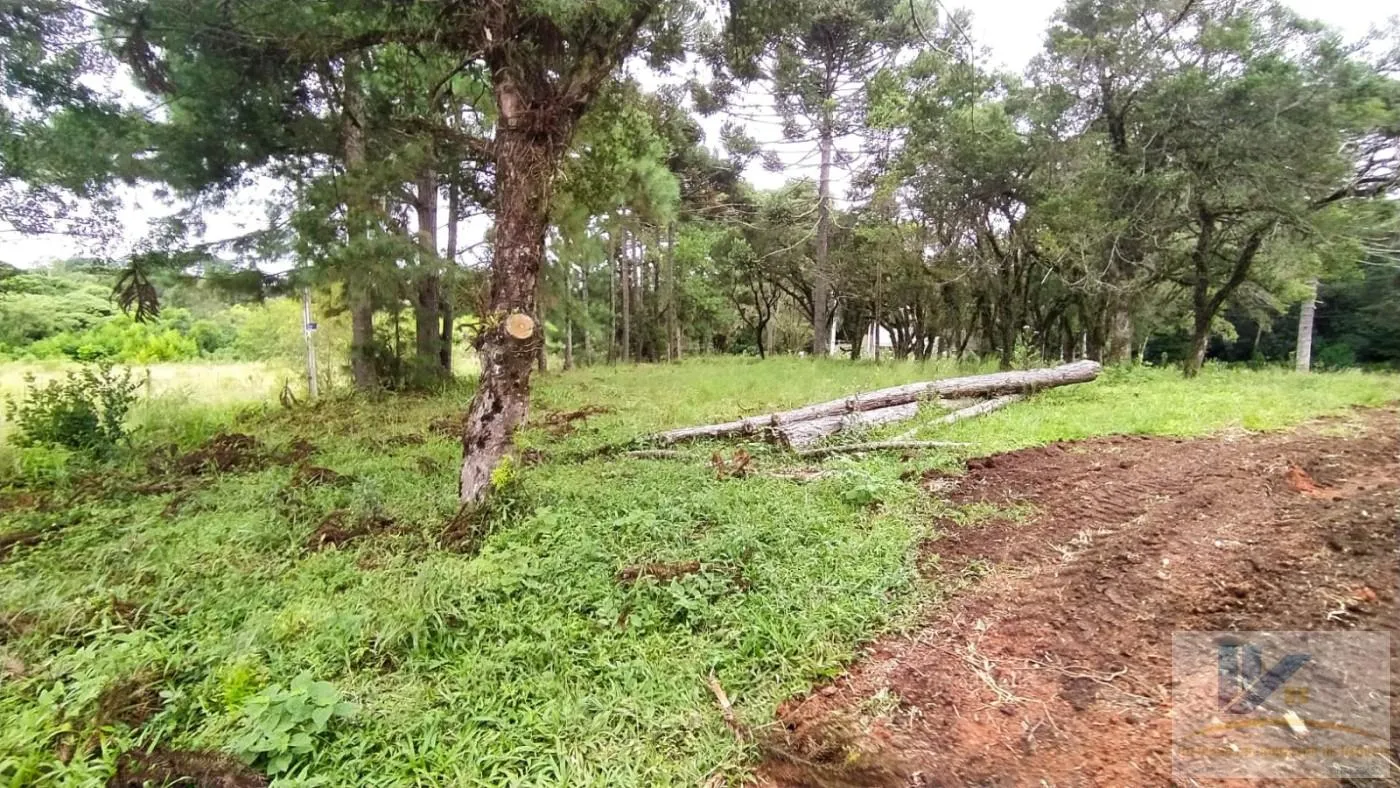 Imagem Terreno para Venda em São José dos Pinhais, Contenda, 1 dormitório