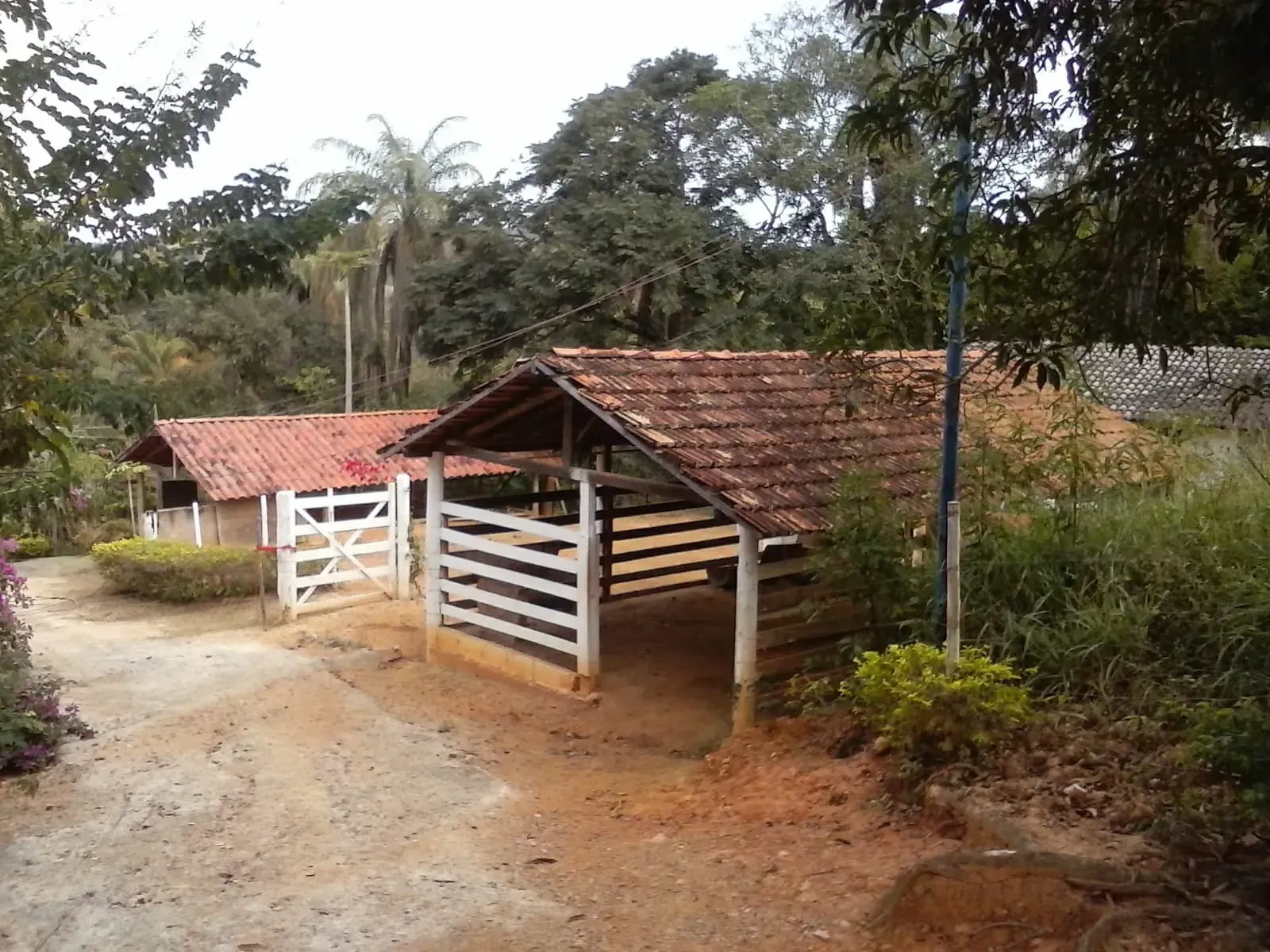 Imagem Sítio à Venda, 50.000 m² em Centro - Jaboticatubas