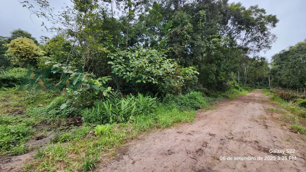 Imagem TERRENO DE ESQUINA NO BALNEÁRIO FAROL DO ITAPOÁ ll

Rua Ajacuá n° 259, quadra 29, lote 14, no Ba...
