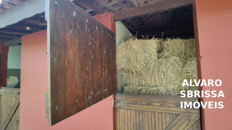 Imagem Vende - Lindo Haras - 5,5 Alqueires –Estrutura Completa– Itu/SP