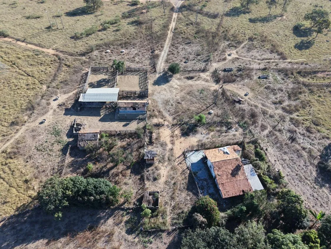 Imagem Fazenda à Venda em Papagaios/MG ? 150 Hectares