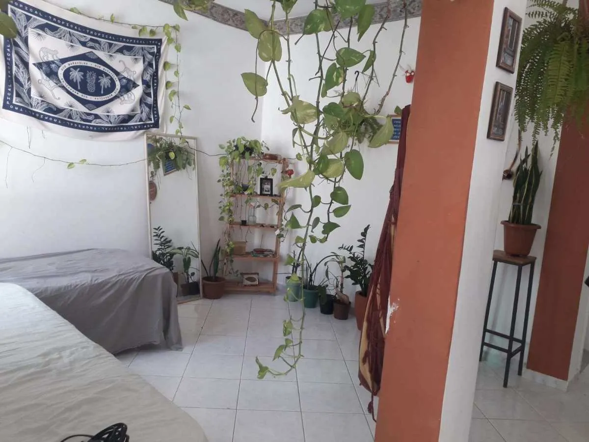 Imagem Apartamento à venda em Salvador, Amaralina, com 2 quartos, 76m2