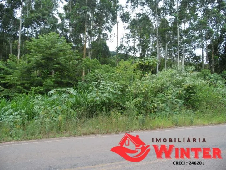Imagem Área de terra com 7.884,70m² no São Roque/ Feliz.
