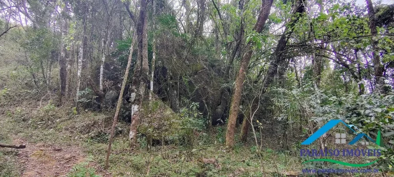 Imagem Oportunidade Única na Serra da Mantiqueira! Pedra do Jair.