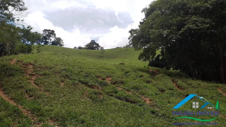 Imagem Paraíso Ecológico: Terreno com Nascente Própria e Vista Panorâmica.