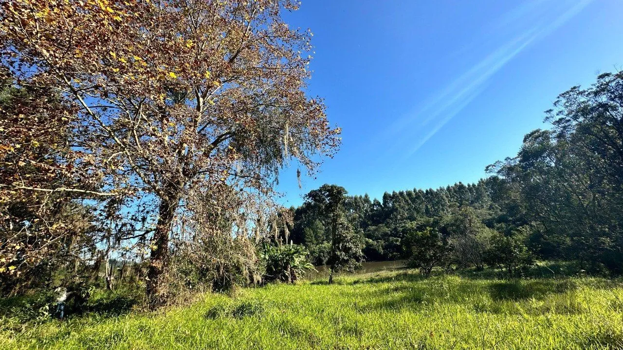 Imagem Sítio em Passo da Areia