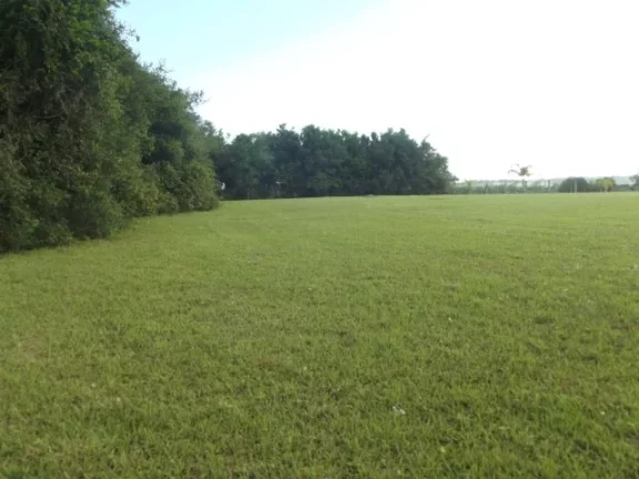 Imagem Belo Sítio com 4.000m², Cercado, Águas Claras, Viamão