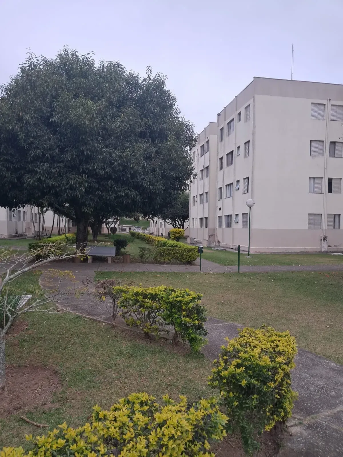 Imagem Apartamento com 2 Quartos à Venda, 50 m² em Cézar de Souza - Mogi das Cruzes