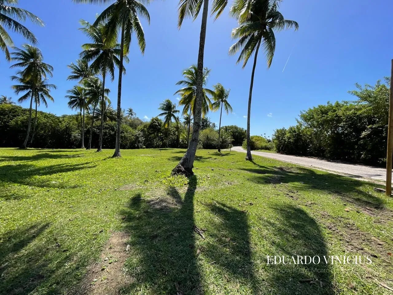 Imagem Sítio dos Coqueiros - Terreno 1.000 m² à Venda na Terceira Praia do Morro de São Paulo