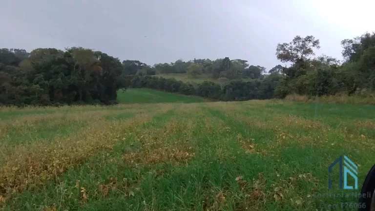 Imagem Sitio a venda, 375,100 mil m² (15.5 alqueires), aproximado 7 alqueires de plantio restante reserva e pasto, em Condói PR