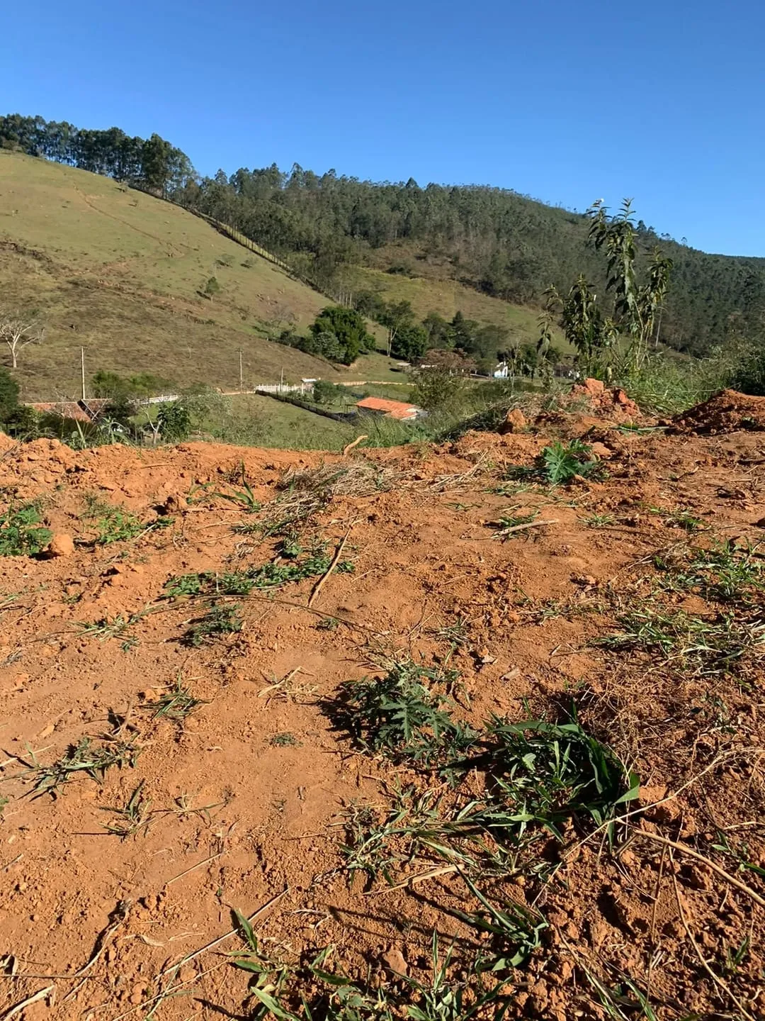 Chácara com 40.000m² em Lagoinha - Amplo Espaço e Total Privacidade