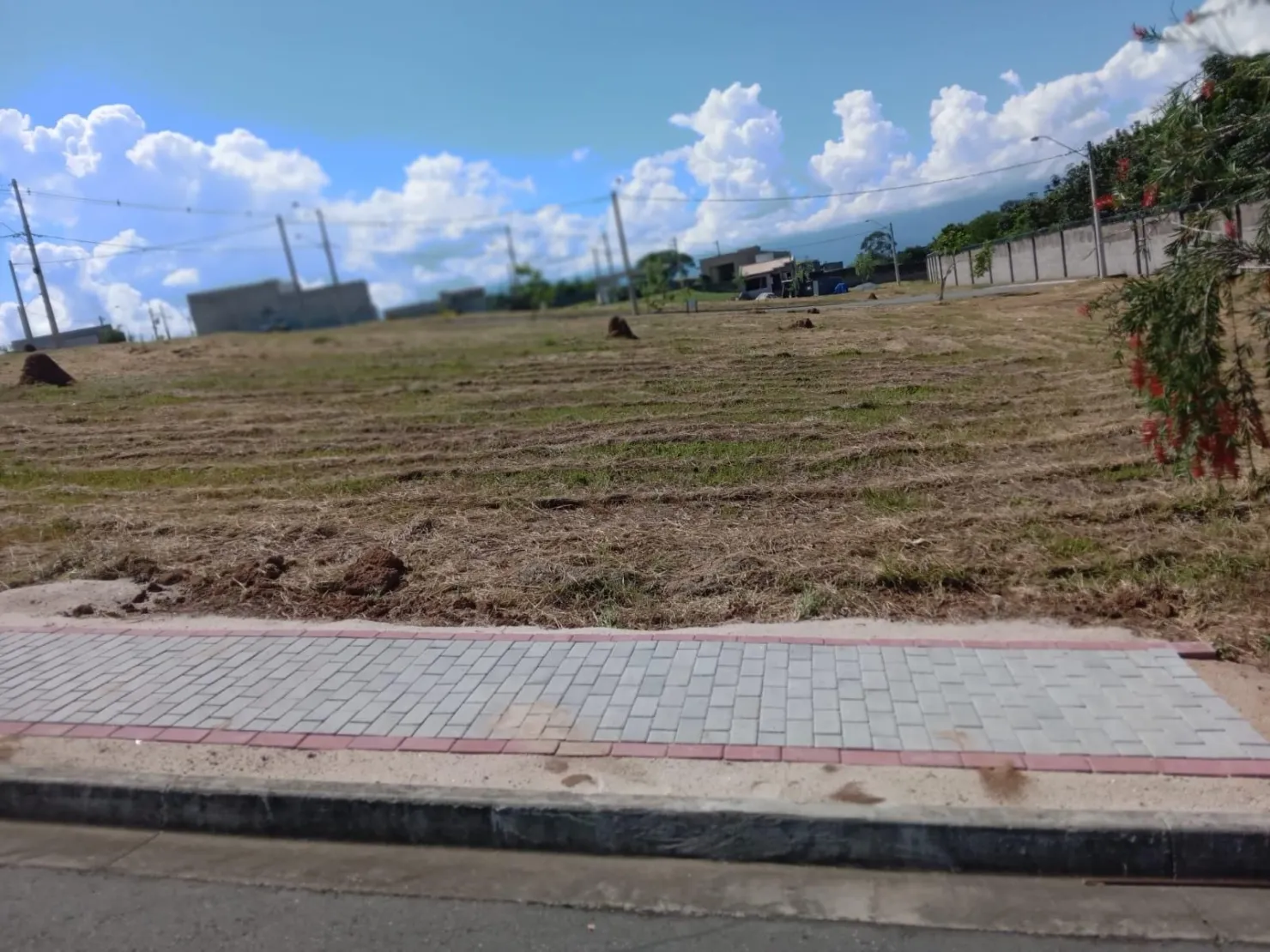 Foto do imóvel Terreno à venda, Loteamento Industrial Água Preta, Pindamonhangaba, SP