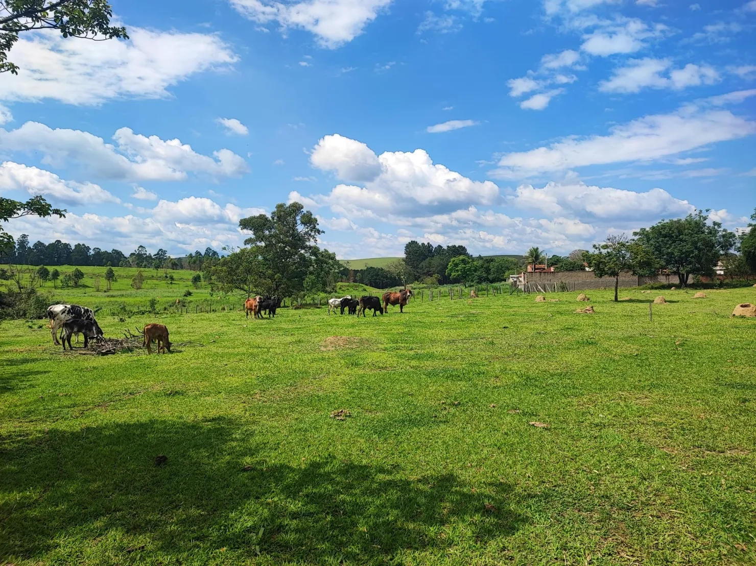 Imagem Chácara à venda 2 Quartos, 37000M², Figueira, Guaratinguetá - SP