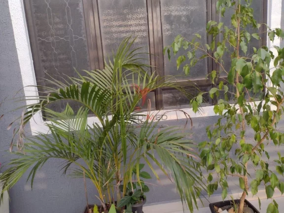 Imagem Casa com 05 dormitórios, 4 banheiros no Bom Jesus III, na Cidade de Rio das Pedras