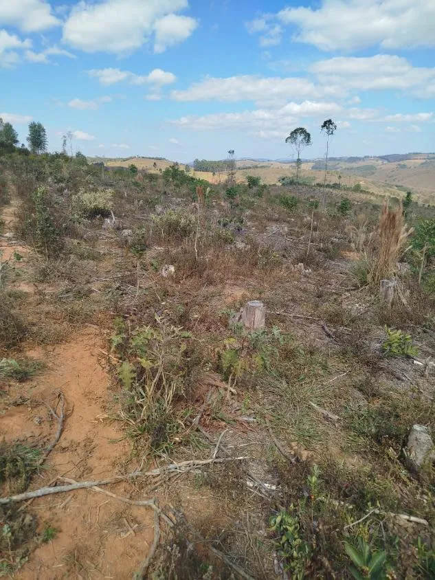 Imagem Vendo uma excelente fazenda em Oliveira / MG 100 hectares de área total;