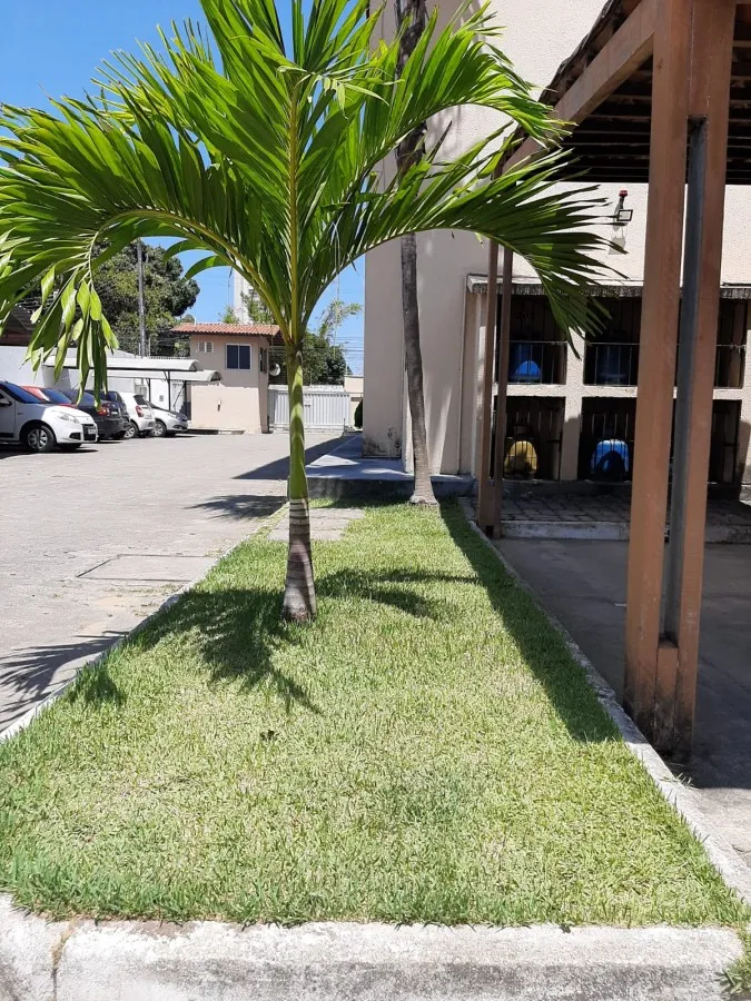 Imagem Apartamento para Venda em Fortaleza, Passaré, 2 dormitórios, 1 banheiro, 1 vaga