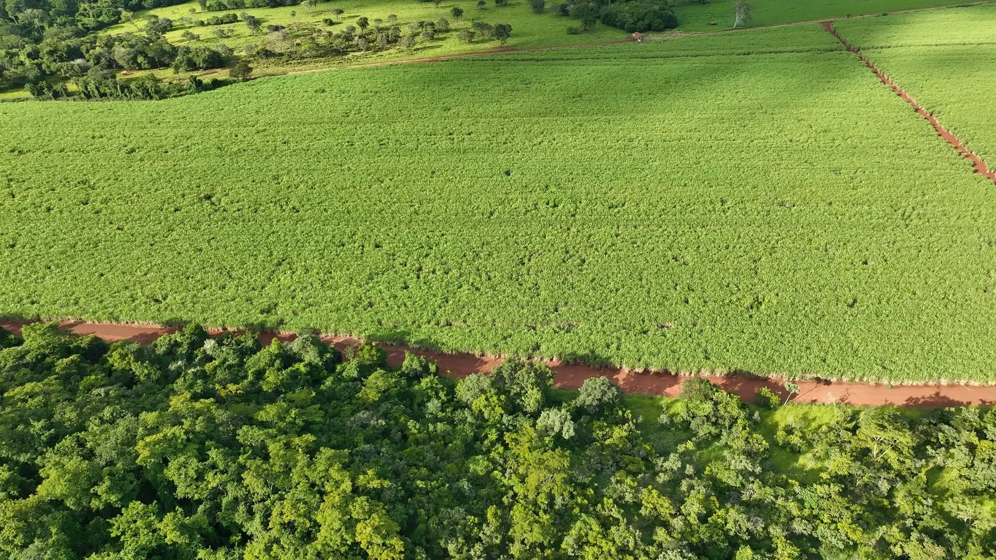 Imagem Fazenda à Venda, 232 HA em Zona Rural - Franca