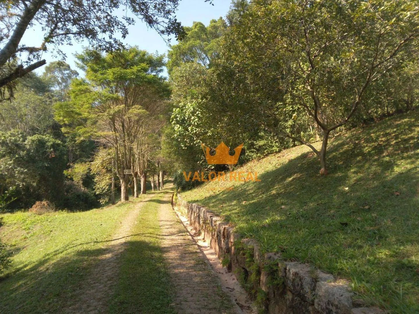 Imagem Sítio Campo Limpo, 99 mil m2, Meio da Natureza, R$ 3 milhões.