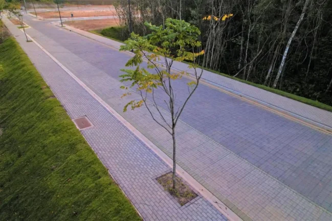 Imagem Terreno em Camboriú - Várzea do Ranchinho