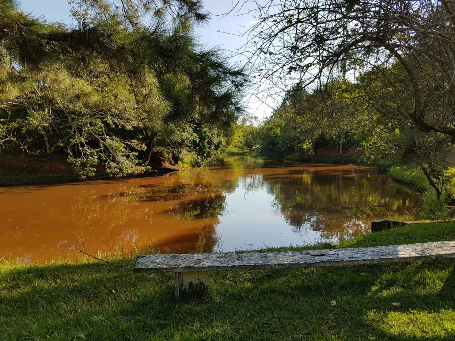Imagem Chácara à venda 1 Quarto, 57596M², Pinga, Pindamonhangaba - SP
