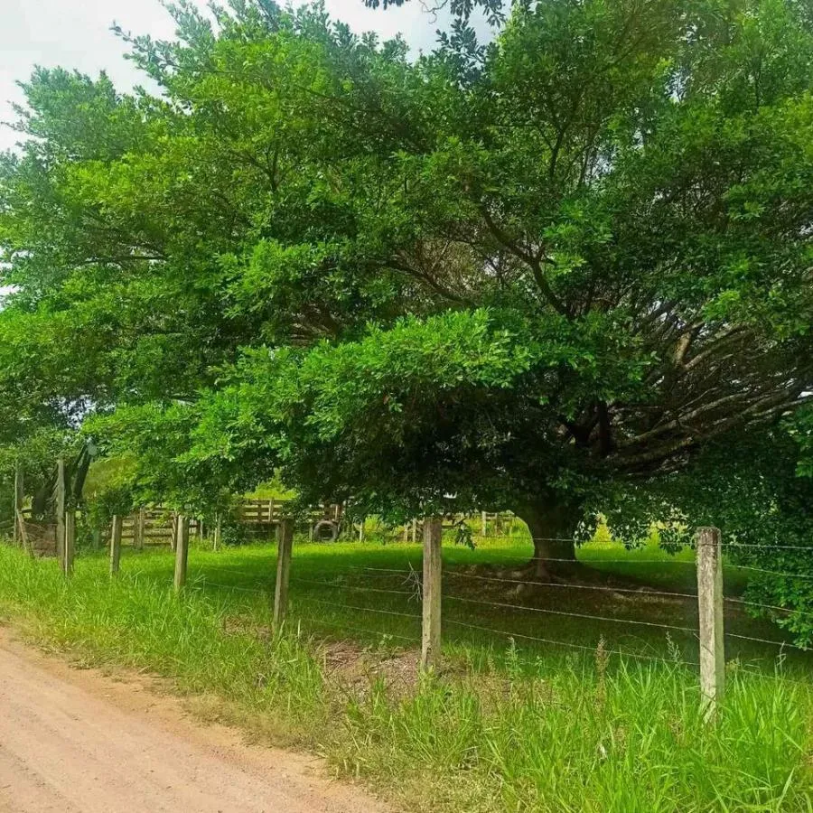Imagem Chácara para Venda em Novo Hamburgo / RS no bairro Lomba Grande