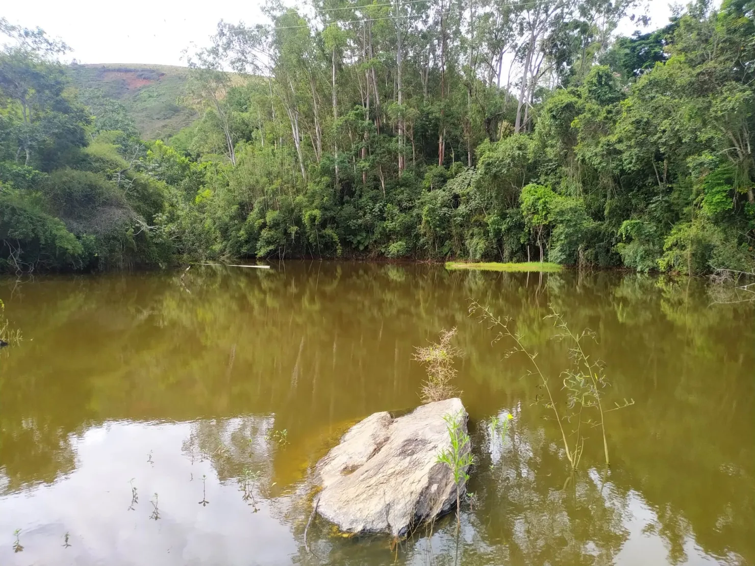 Imagem Chácara à venda 170000M², Bom Sucesso, Pindamonhangaba - SP