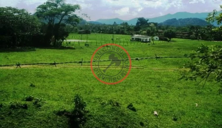 Imagem FAZENDA COM 55 MIL METROS DE AREA UTIL EM SAO SEBASTIAO