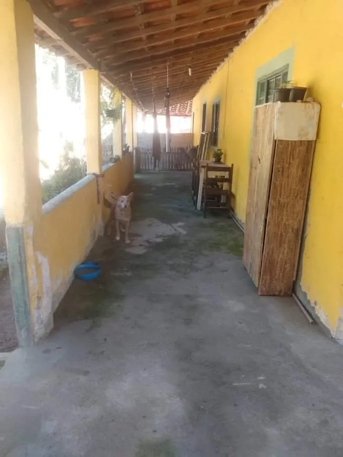 Imagem Chácara à venda 2000M², Ribeirão Grande, Pindamonhangaba - SP