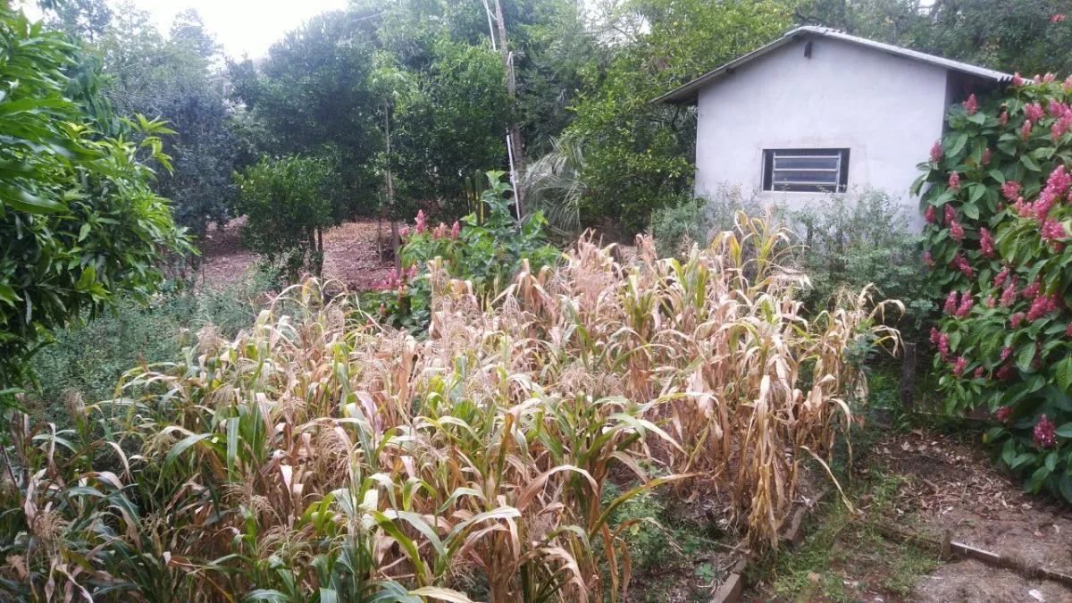 Imagem Terreno para Venda em São Leopoldo / RS no bairro Campestre